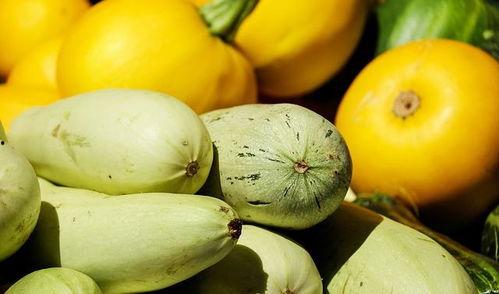 刘老板吃蜜瓜图片,尽享夏日清新滋味