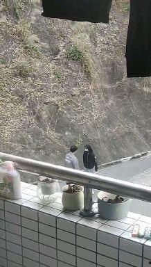 大学情侣吵架吃瓜