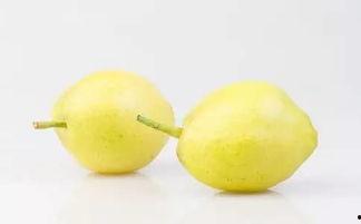 来了月经可以吃梨瓜,梨瓜助力健康养生