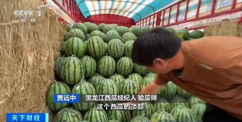 井上吃瓜,揭秘网络热点的背后故事