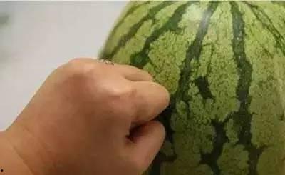 当当 吃瓜,揭秘娱乐圈的甜蜜与苦涩