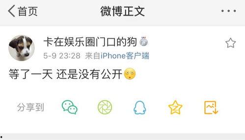 有瓜吃爆料,有瓜吃爆料带你探秘明星幕后故事