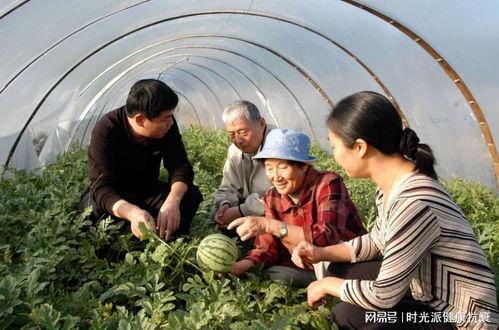 吃瓜科学家,趣味科普背后的科学精神