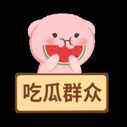 吃瓜群众新手视频下载,新手如何轻松下载吃瓜群众热门视频