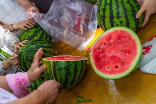 白天吃瓜视频,短视频时代的娱乐盛宴