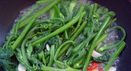 小焦吃瓜  第3张