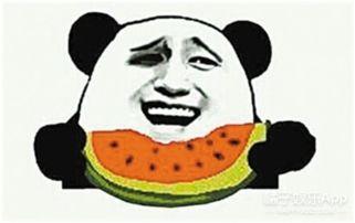 舟山吃瓜群众,揭秘海鲜美食背后的故事  第1张