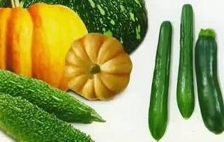 飘瓜如何吃,解锁夏日清新美味  第3张