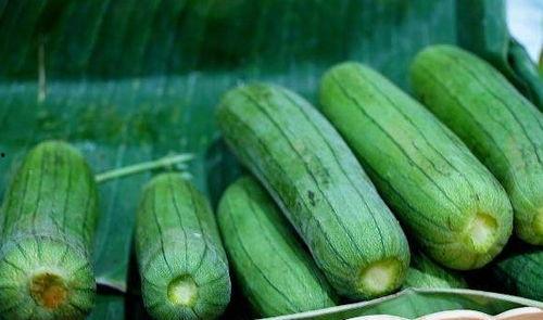 立秋后吃三瓜  第1张