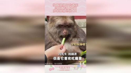 吃瓜超猩,揭秘娱乐圈背后的神秘故事  第3张