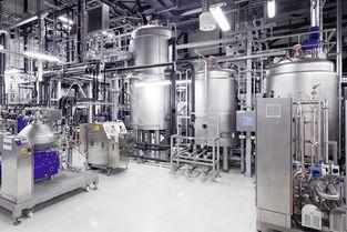 吃瓜群众工厂  第2张