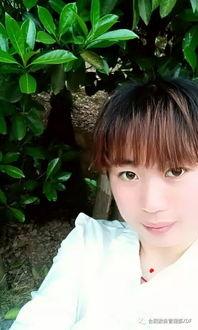 七朵小花吃瓜,七朵小花共赴瓜田盛宴  第3张