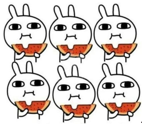 吃瓜怼怼,揭秘娱乐圈背后的真相与笑料  第1张