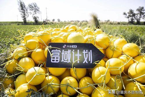 抖音吃瓜栗,揭秘网红美食背后的故事  第1张