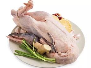 word麻鸭吃瓜,趣味横生的田园生活一幕 第2张 word麻鸭吃瓜,趣味横生的田园生活一幕 第2张