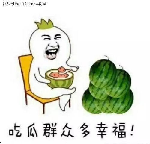 吃瓜定神打一数字,揭秘数字背后的奥秘  第1张