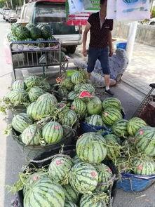 莱芜驾校吃瓜事件,学员维权引发行业关注  第3张