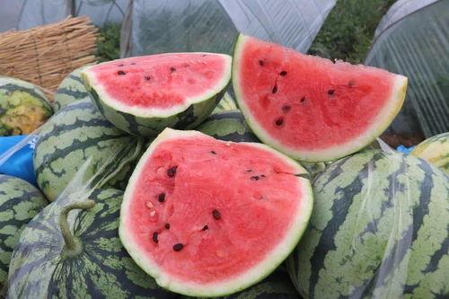 你们网上吃瓜,揭秘虚拟世界中的围观文化 第3张 你们网上吃瓜,揭秘虚拟世界中的围观文化 第3张