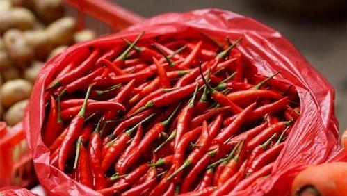 吃瓜小辣子  第3张