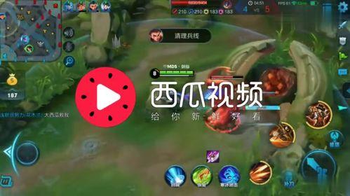 吃瓜视频背景配乐,揭秘吃瓜视频背后的音乐魅力  第2张