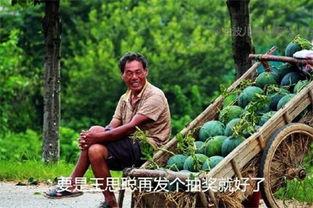 《吃瓜》全部 第2张 《吃瓜》全部 第2张