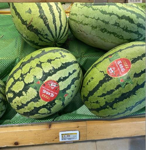 《吃瓜》全部 第3张 《吃瓜》全部 第3张