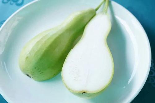 瓠瓜吃发苦  第3张