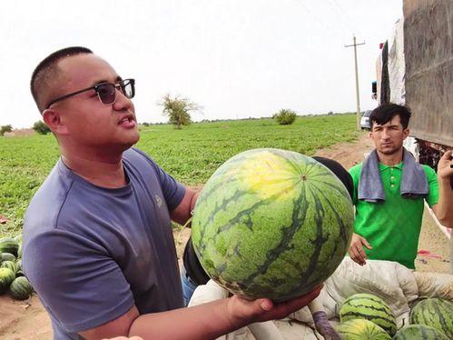 乌鲁木齐金科吃瓜,揭秘背后真相与争议  第2张