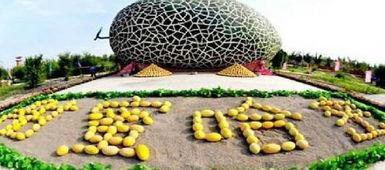 乌鲁木齐金科吃瓜,揭秘背后真相与争议  第3张