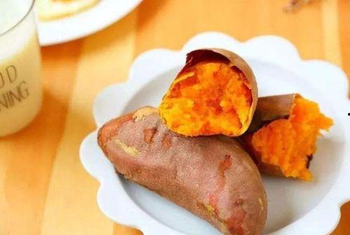 呆瓜吃番薯,呆瓜的番薯美食之旅