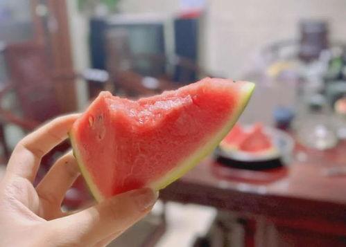 吃瓜不吵,揭秘娱乐圈的和谐之道