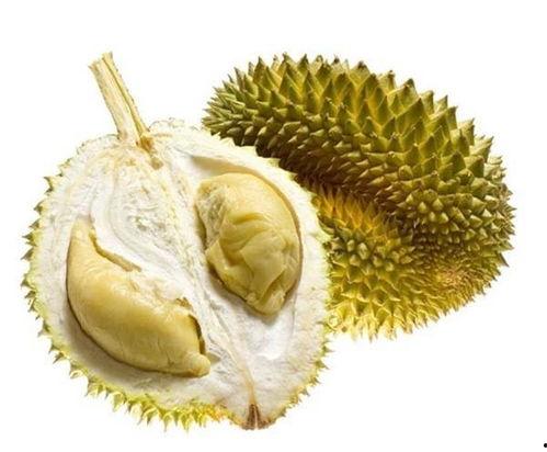 吃哈密瓜可以吃榴莲吗,美味搭配的奇妙之旅