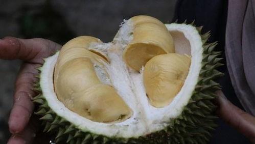 吃哈密瓜可以吃榴莲吗,美味搭配的奇妙之旅