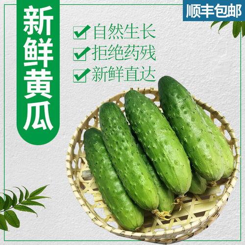 黄瓜嫩瓜怎么吃