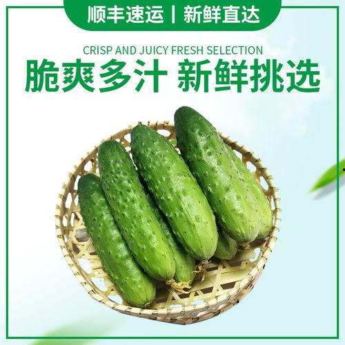 黄瓜嫩瓜怎么吃